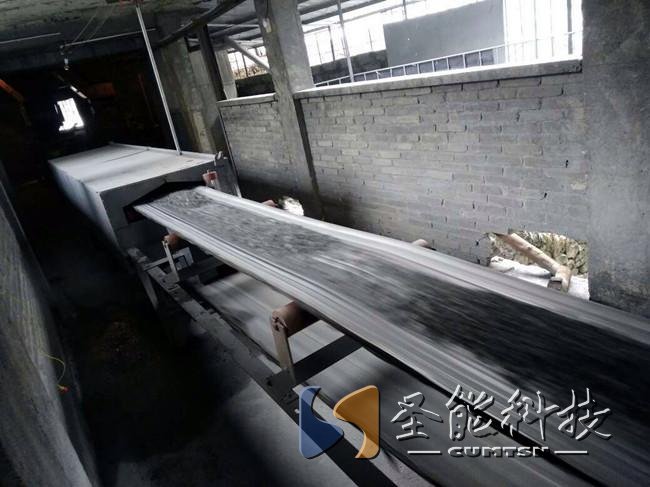 圣能科技<a href='http://www.agu8.cn' target='_blank'><u>電子皮帶秤</u></a>項(xiàng)目
