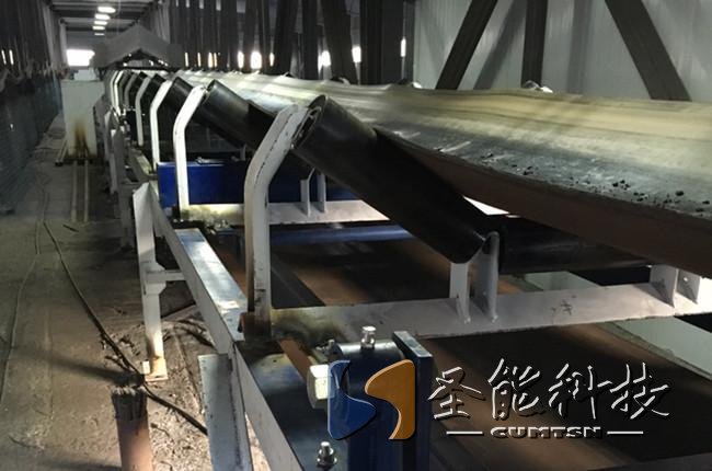 圣能科技<a href='http://www.agu8.cn/' target='_blank'><u>皮帶秤</u></a>案例